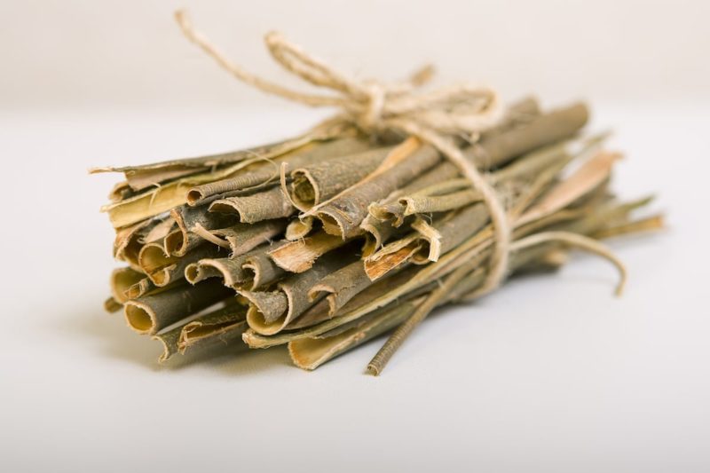 Ingredient spotlight: White Willow Bark